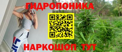 гидропоника Ярославль